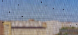 Insect Sceens