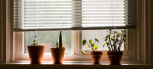 Blinds & Curtains